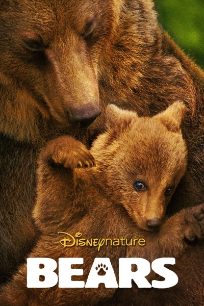Caratula, cartel, poster o portada de Bears (Osos)