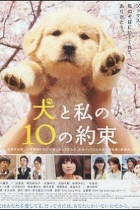 Caratula, cartel, poster o portada de 10 Promises to My Dog