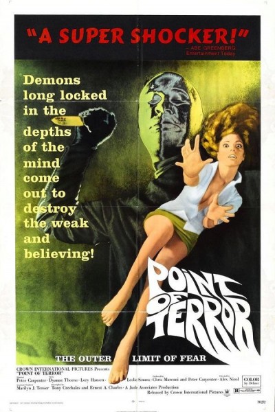 Caratula, cartel, poster o portada de Point of Terror