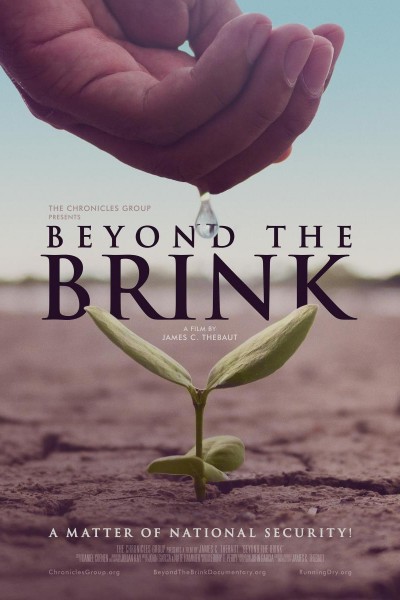 Cubierta de Beyond the Brink