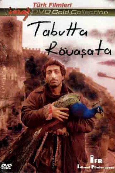 Caratula, cartel, poster o portada de Tabutta Rövasata