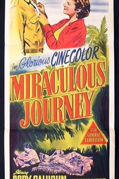 Caratula, cartel, poster o portada de Miraculous Journey