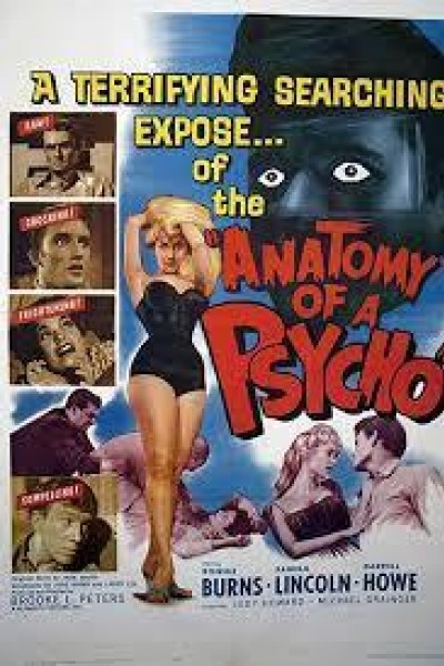 Caratula, cartel, poster o portada de Anatomy of a Psycho