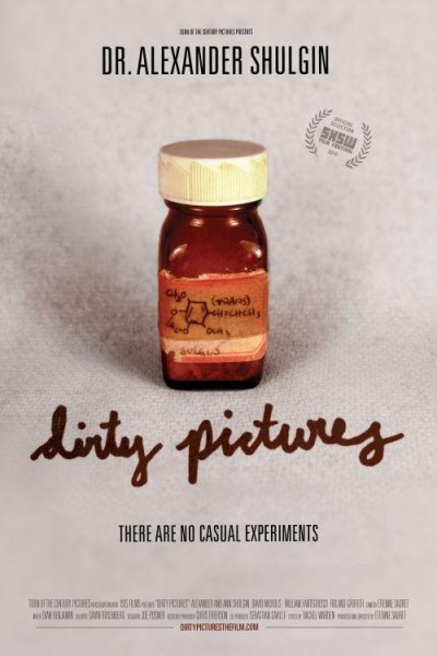 Caratula, cartel, poster o portada de Dirty Pictures
