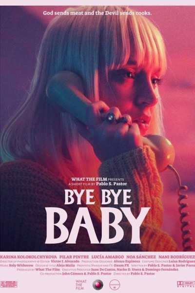 Caratula, cartel, poster o portada de Bye Bye Baby