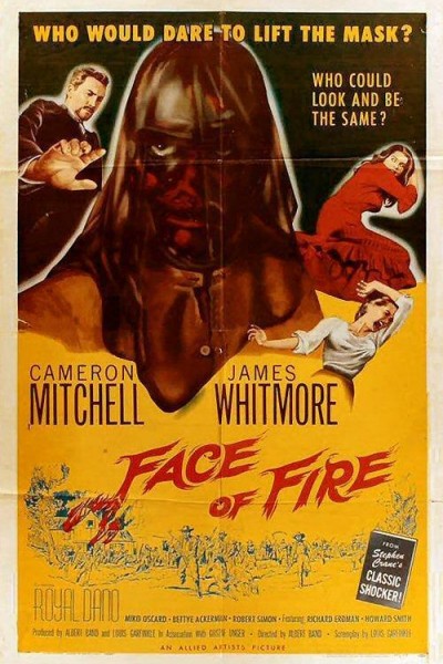Caratula, cartel, poster o portada de Face of Fire