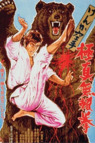 Caratula, cartel, poster o portada de Karate Bear Fighter