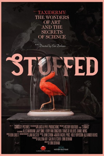 Caratula, cartel, poster o portada de Stuffed