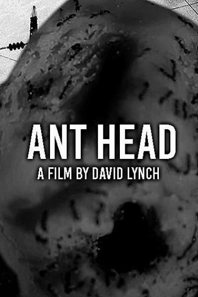 Caratula, cartel, poster o portada de Ant Head