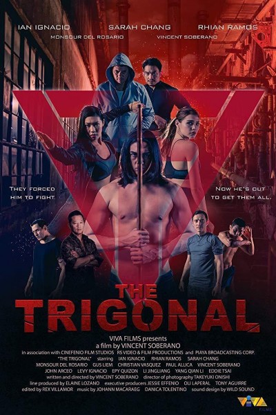 Caratula, cartel, poster o portada de The Trigonal: Fight for Justice