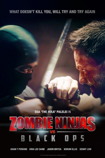 Caratula, cartel, poster o portada de Zombie Ninjas vs Black Ops