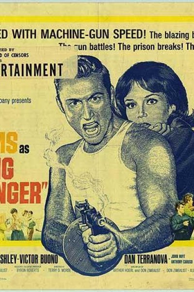 Caratula, cartel, poster o portada de Young Dillinger