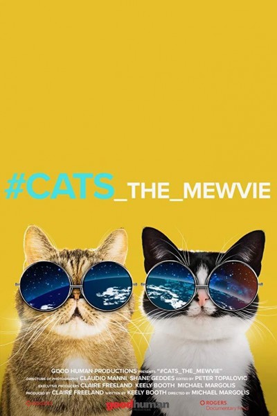 Caratula, cartel, poster o portada de #cats_The_Mewvie