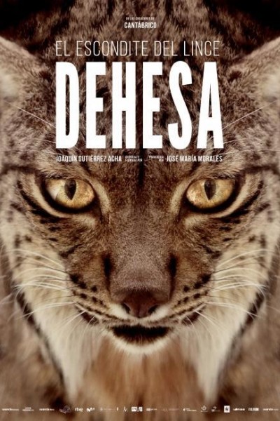 Caratula, cartel, poster o portada de Dehesa, el bosque del lince ibérico
