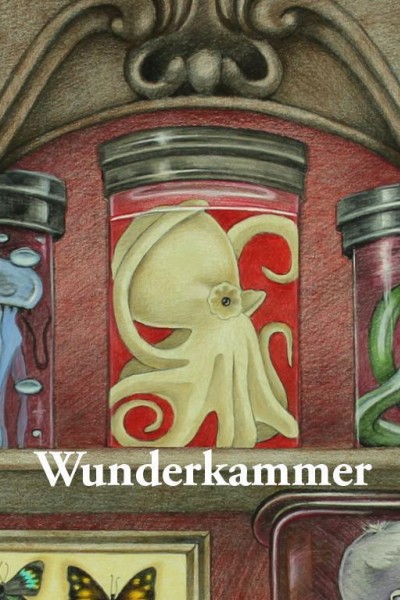 Caratula, cartel, poster o portada de Wunderkammer