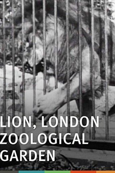 Cubierta de Lions, Jardin zoologique, Londres
