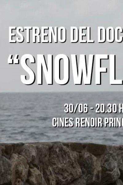 Caratula, cartel, poster o portada de Snowflake