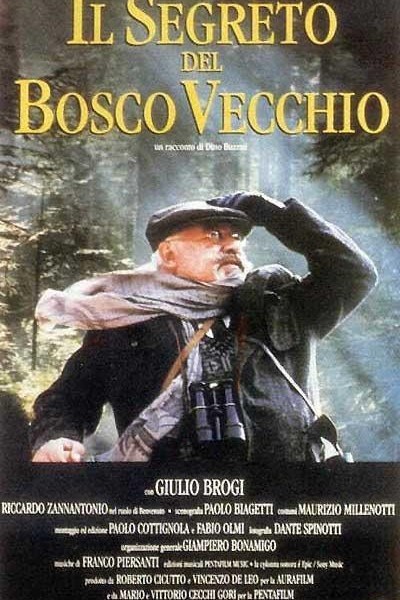 Caratula, cartel, poster o portada de El secreto del bosque viejo