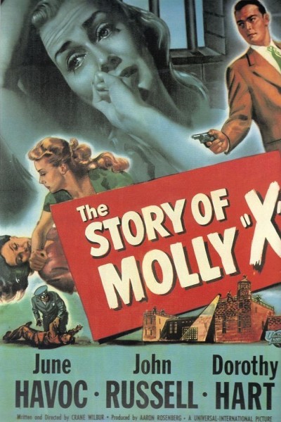 Caratula, cartel, poster o portada de The Story of Molly X