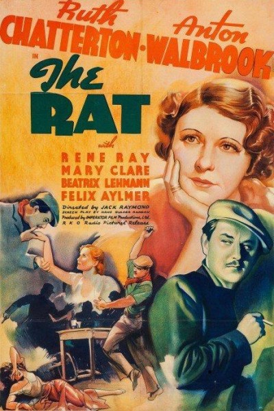 Caratula, cartel, poster o portada de The Rat