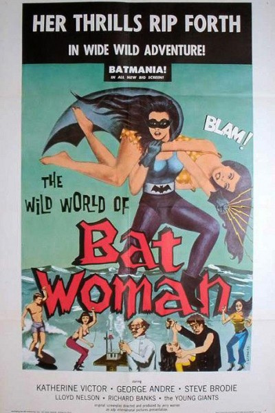 Caratula, cartel, poster o portada de El mundo salvaje de Batwoman