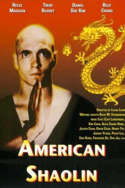 Caratula, cartel, poster o portada de American Shaolin