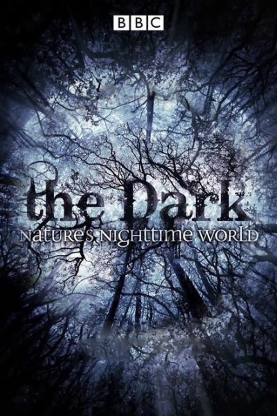 Caratula, cartel, poster o portada de The Dark: Nature\'s Nighttime World