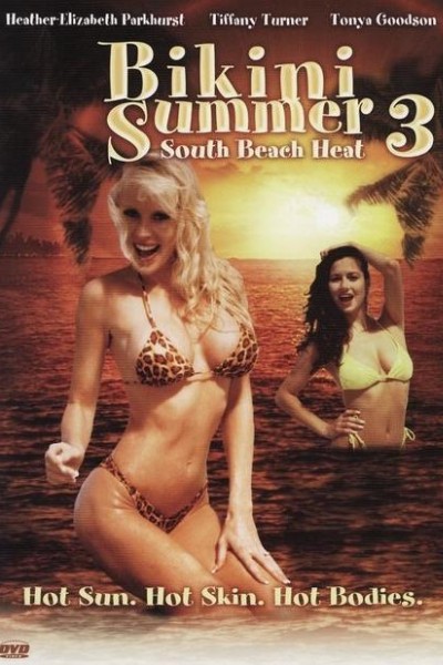 Caratula, cartel, poster o portada de Bikini Summer 3: South Beach Heat (AKA Bikini Summer III: South Beach Heat)