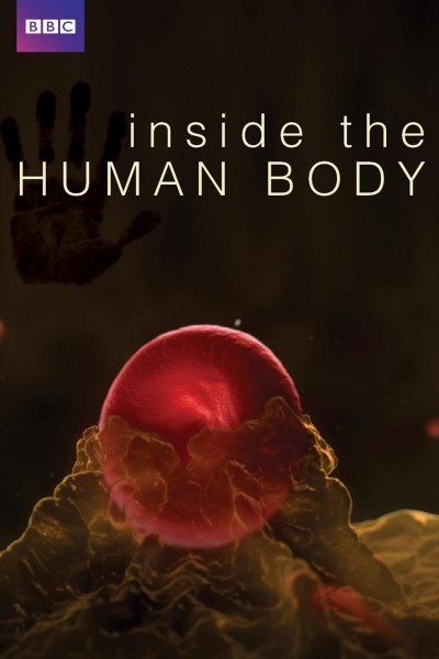 Caratula, cartel, poster o portada de En el interior del cuerpo humano