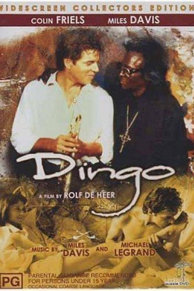 Caratula, cartel, poster o portada de Dingo