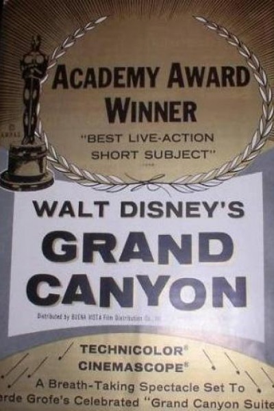 Caratula, cartel, poster o portada de Grand Canyon
