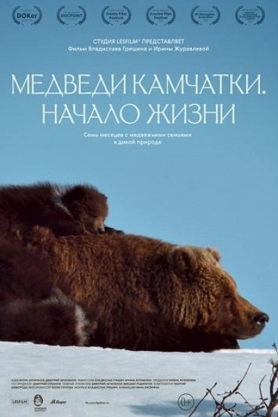 Caratula, cartel, poster o portada de Osos de Kamchatka