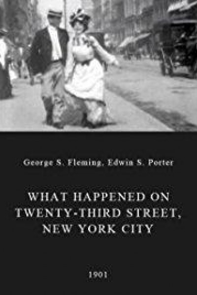 Cubierta de What Happened on Twenty-third Street, New York City
