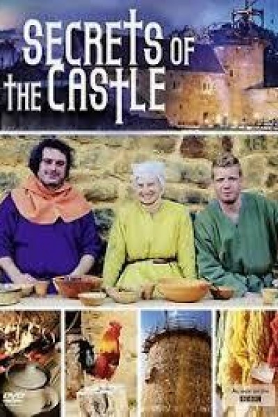 Caratula, cartel, poster o portada de Secrets of the Castle