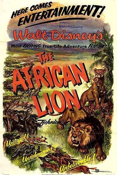 Caratula, cartel, poster o portada de El León Africano
