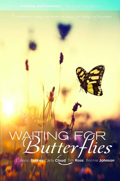 Cubierta de Waiting for Butterflies