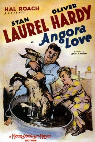 Caratula, cartel, poster o portada de Angora Love