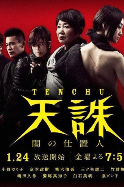 Caratula, cartel, poster o portada de Tenchû: Yami no Shiokinin
