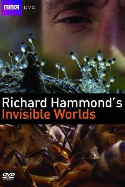 Cubierta de Richard Hammond\'s Invisible Worlds