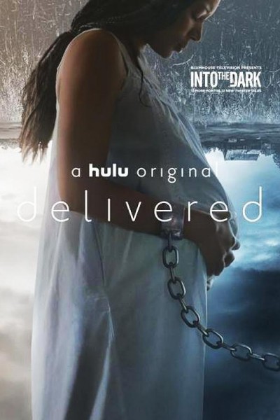 Caratula, cartel, poster o portada de Into the Dark: Delivered