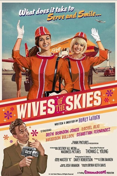 Cubierta de Wives of the Skies