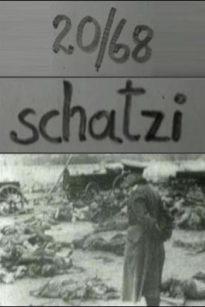 Cubierta de 20/68: Schatzi