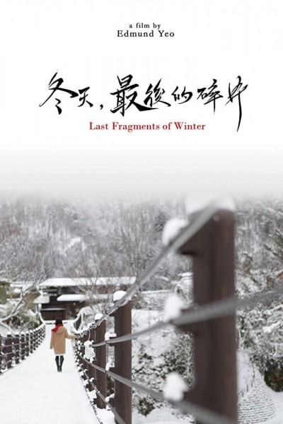 Caratula, cartel, poster o portada de Last Fragments of Winter