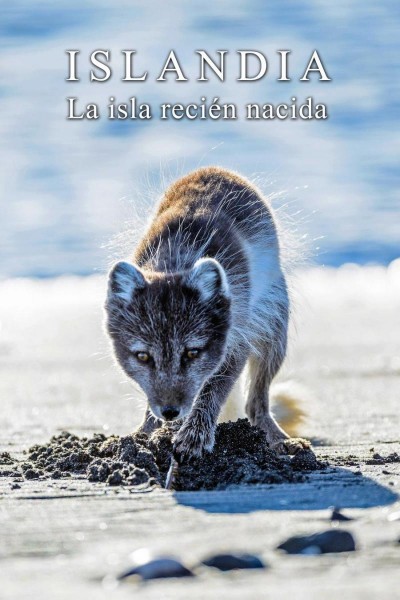 Caratula, cartel, poster o portada de Islandia: la isla recién nacida