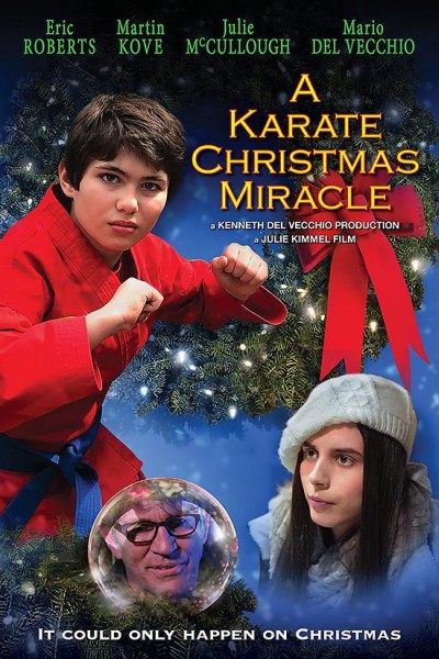 Cubierta de A Karate Christmas Miracle