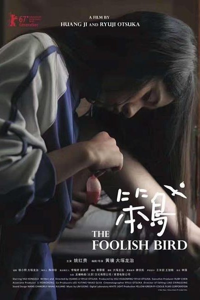 Caratula, cartel, poster o portada de The Foolish Bird