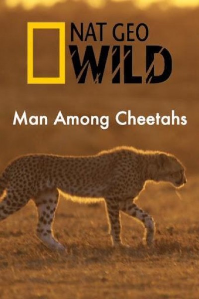 Caratula, cartel, poster o portada de Un hombre entre guepardos