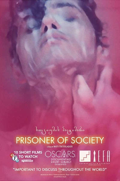 Cubierta de Prisoner of Society