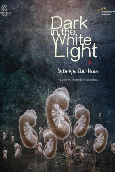 Caratula, cartel, poster o portada de Dark in the White Light