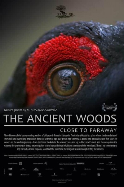 Caratula, cartel, poster o portada de The Ancient Woods